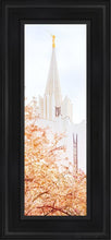 Load image into Gallery viewer, Jordan River Spring Blossoms Open Edition Canvas / 6 X 18 Black Frame Art
