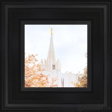 Load image into Gallery viewer, Jordan River Spring Blossoms Open Edition Canvas / 6 X Black Frame Art
