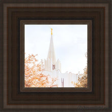 Load image into Gallery viewer, Jordan River Spring Blossoms Open Edition Canvas / 6 X Brown Frame Art
