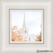 Load image into Gallery viewer, Jordan River Spring Blossoms Open Edition Canvas / 6 X White Frame Art
