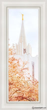 Load image into Gallery viewer, Jordan River Spring Blossoms Open Edition Canvas / 8 X 24 White Frame Art
