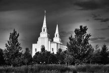 Load image into Gallery viewer, Kansas City Sentinel On The Plains Art
