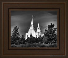 Load image into Gallery viewer, Kansas City Sentinel On The Plains Open Edition Print / 10 X 8 Frame C 12 1/4 14 Art
