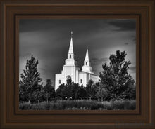 Load image into Gallery viewer, Kansas City Sentinel On The Plains Open Edition Print / 14 X 11 Frame S 15 1/4 18 Art
