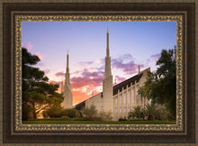 Load image into Gallery viewer, Las Vegas Desert Rose Open Edition Canvas / 36 X 24 Frame M 33 3/4 45 Art

