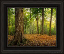 Load image into Gallery viewer, Oh How Lovely Was The Morning Open Edition Canvas / 11 X 14 Black Frame Art
