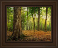 Load image into Gallery viewer, Oh How Lovely Was The Morning Open Edition Canvas / 11 X 14 Brown Frame Art
