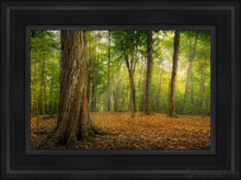 Load image into Gallery viewer, Oh How Lovely Was The Morning Open Edition Canvas / 12 X 18 Black Frame Art
