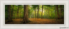 Load image into Gallery viewer, Oh How Lovely Was The Morning Open Edition Canvas / 12 X 36 White Frame Art
