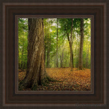 Load image into Gallery viewer, Oh How Lovely Was The Morning Open Edition Canvas / 12 X Brown Frame Art
