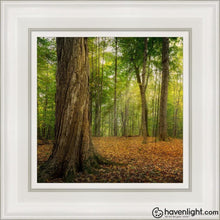 Load image into Gallery viewer, Oh How Lovely Was The Morning Open Edition Canvas / 12 X White Frame Art
