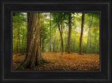 Load image into Gallery viewer, Oh How Lovely Was The Morning Open Edition Canvas / 14 X 21 Black Frame Art

