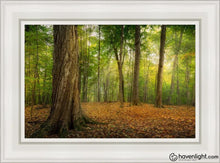 Load image into Gallery viewer, Oh How Lovely Was The Morning Open Edition Canvas / 14 X 21 White Frame Art
