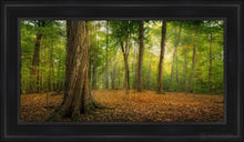 Load image into Gallery viewer, Oh How Lovely Was The Morning Open Edition Canvas / 15 X 30 Black Frame Art
