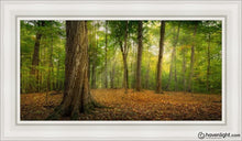 Load image into Gallery viewer, Oh How Lovely Was The Morning Open Edition Canvas / 15 X 30 White Frame Art
