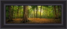 Load image into Gallery viewer, Oh How Lovely Was The Morning Open Edition Canvas / 18 X 6 Frame B 9 1/2 21 Art
