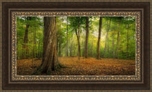 Load image into Gallery viewer, Oh How Lovely Was The Morning Open Edition Canvas / 36 X 18 Frame M 27 3/4 45 Art
