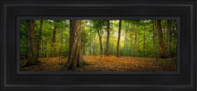 Load image into Gallery viewer, Oh How Lovely Was The Morning Open Edition Canvas / 6 X 18 Black Frame Art
