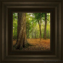 Load image into Gallery viewer, Oh How Lovely Was The Morning Open Edition Canvas / 6 X Frame C 9 3/4 Art
