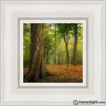 Load image into Gallery viewer, Oh How Lovely Was The Morning Open Edition Canvas / 6 X White Frame Art
