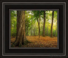 Load image into Gallery viewer, Oh How Lovely Was The Morning Open Edition Canvas / 8 X 10 Black Frame Art
