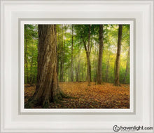 Load image into Gallery viewer, Oh How Lovely Was The Morning Open Edition Canvas / 8 X 10 White Frame Art
