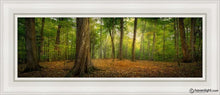 Load image into Gallery viewer, Oh How Lovely Was The Morning Open Edition Canvas / 8 X 24 White Frame Art
