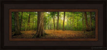 Load image into Gallery viewer, Oh How Lovely Was The Morning Open Edition Print / 18 X 6 Frame K 22.5 10.5 Art
