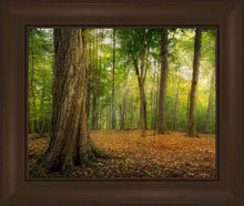 Load image into Gallery viewer, Oh How Lovely Was The Morning Open Edition Print / 20 X 16 Frame C 21 3/4 25 Art
