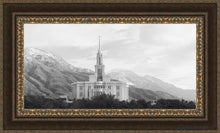 Load image into Gallery viewer, Payson High Key Open Edition Canvas / 36 X 18 Frame M 27 3/4 45 Art
