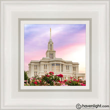 Load image into Gallery viewer, Payson Utah Tiptoe Through The Roses Open Edition Canvas / 6 X White Frame Art
