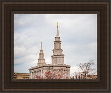 Load image into Gallery viewer, Philadelphia Freedom Open Edition Canvas / 11 X 14 Brown Frame Art
