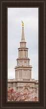 Load image into Gallery viewer, Philadelphia Freedom Open Edition Canvas / 12 X 36 Brown Frame Art
