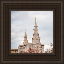 Load image into Gallery viewer, Philadelphia Freedom Open Edition Canvas / 12 X Brown Frame Art

