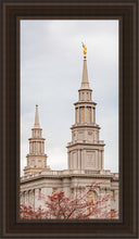 Load image into Gallery viewer, Philadelphia Freedom Open Edition Canvas / 15 X 30 Brown Frame Art
