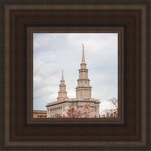 Load image into Gallery viewer, Philadelphia Freedom Open Edition Canvas / 6 X Brown Frame Art
