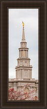 Load image into Gallery viewer, Philadelphia Freedom Open Edition Canvas / 8 X 24 Brown Frame Art

