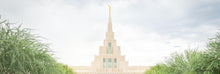 Load image into Gallery viewer, Phoenix Arizona Glorious Day Art
