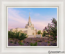 Load image into Gallery viewer, Phoenix Desert Blossom Open Edition Canvas / 11 X 14 White Frame Art
