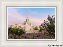 Load image into Gallery viewer, Phoenix Desert Blossom Open Edition Canvas / 12 X 18 White Frame Art
