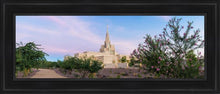 Load image into Gallery viewer, Phoenix Desert Blossom Open Edition Canvas / 12 X 36 Black Frame Art
