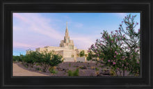 Load image into Gallery viewer, Phoenix Desert Blossom Open Edition Canvas / 15 X 30 Black Frame Art
