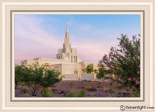 Load image into Gallery viewer, Phoenix Desert Blossom Open Edition Canvas / 20 X 30 White Frame Art
