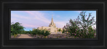 Load image into Gallery viewer, Phoenix Desert Blossom Open Edition Canvas / 6 X 18 Black Frame Art
