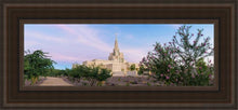 Load image into Gallery viewer, Phoenix Desert Blossom Open Edition Canvas / 6 X 18 Brown Frame Art
