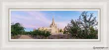 Load image into Gallery viewer, Phoenix Desert Blossom Open Edition Canvas / 6 X 18 White Frame Art
