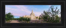 Load image into Gallery viewer, Phoenix Desert Blossom Open Edition Canvas / 8 X 24 Black Frame Art
