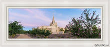 Load image into Gallery viewer, Phoenix Desert Blossom Open Edition Canvas / 8 X 24 White Frame Art
