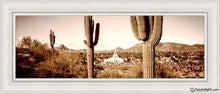 Load image into Gallery viewer, Phoenix Saguaro Cactus Open Edition Canvas / 12 X 36 White Frame Art
