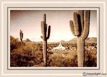Load image into Gallery viewer, Phoenix Saguaro Cactus Open Edition Canvas / 20 X 30 White Frame Art
